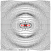 4array.gif