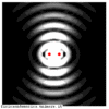 I 2array.gif
