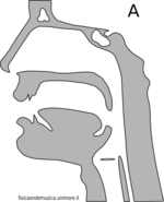 Vocale a.png