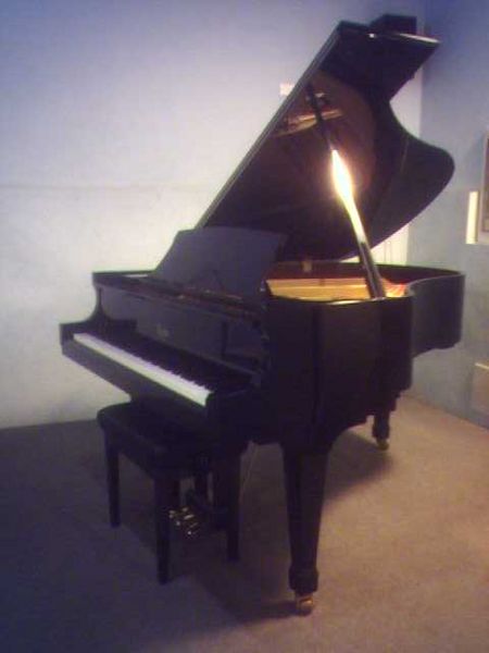 File:Pnf.jpg